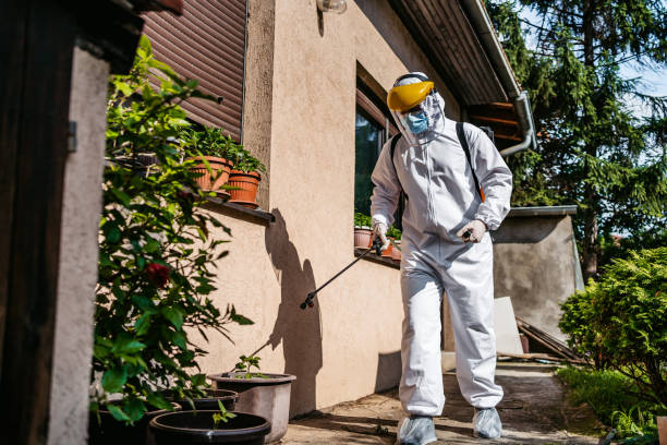 Pest Control for Restaurants in Dunlap, IL