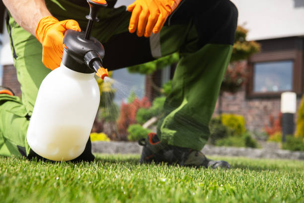 Flea Control Services in Dunlap, IL
