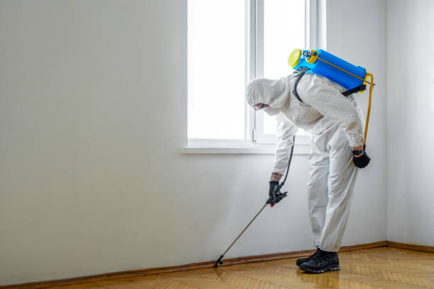 Best Best Pest Control Companies  in Dunlap, IL