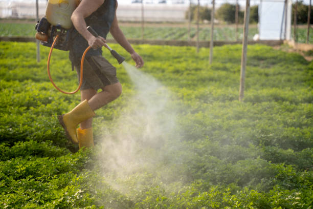 Best Pest Control Near Me  in Dunlap, IL