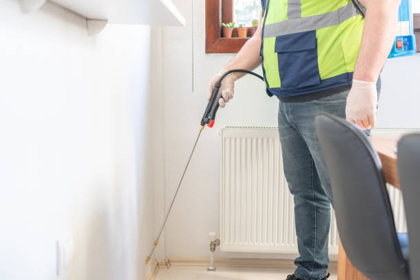 Best Ant Control Services  in Dunlap, IL