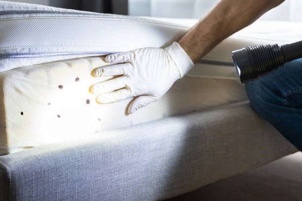 Best Pest Inspection Near Me  in Dunlap, IL