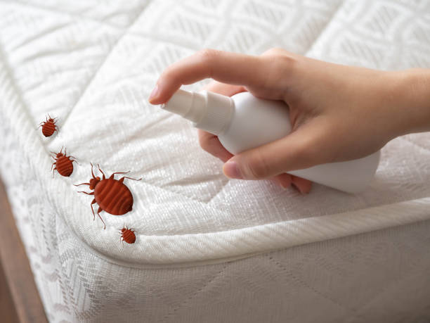 Best Pest Removal Services  in Dunlap, IL