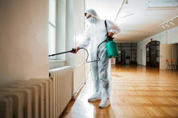 Best Emergency Pest Control  in Dunlap, IL