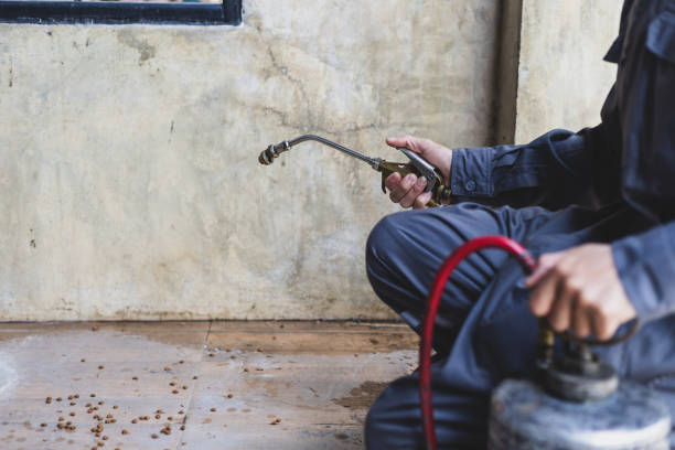 Best Pest Prevention Services  in Dunlap, IL